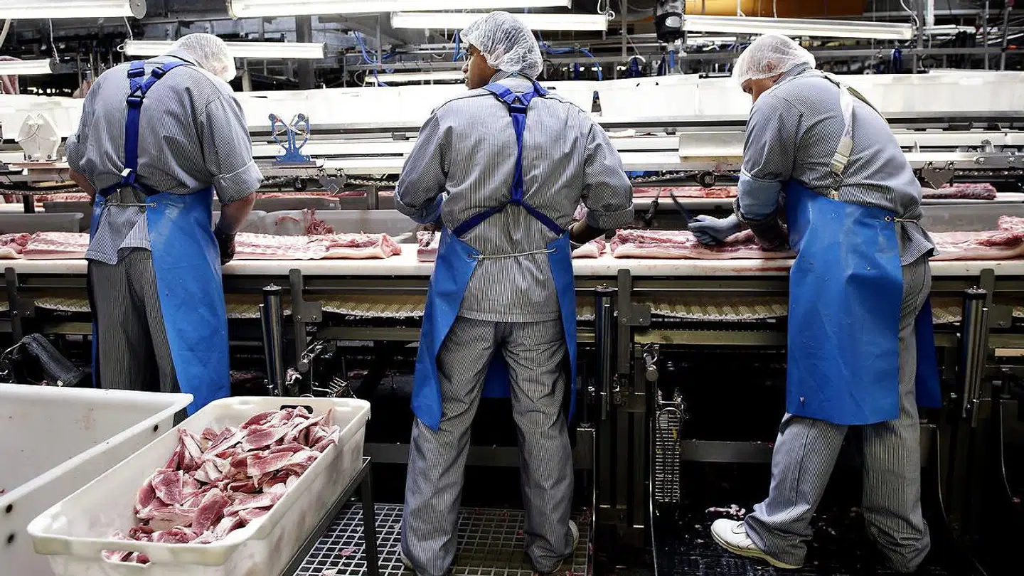 (ARKIV) Danish Crown Slagteri i Ringsted. (Foto: LISELOTTE SABROE/Scanpix 2018)