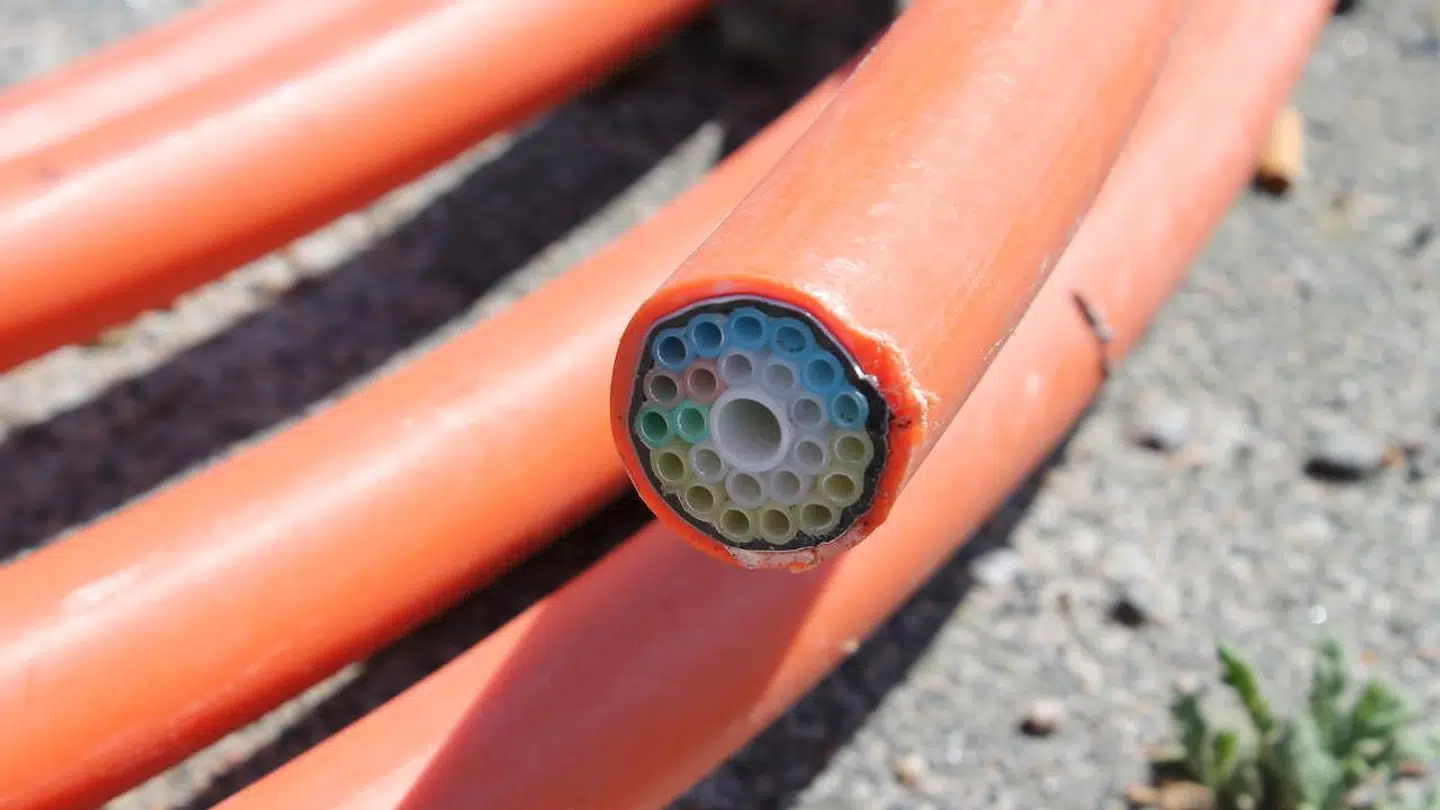 De lysoptiske fiberkabler kan transportere datasignaler i topfart. Derfor rulles de nu ud i hele Danmark. Arkivfoto: Thomas Breinstrup