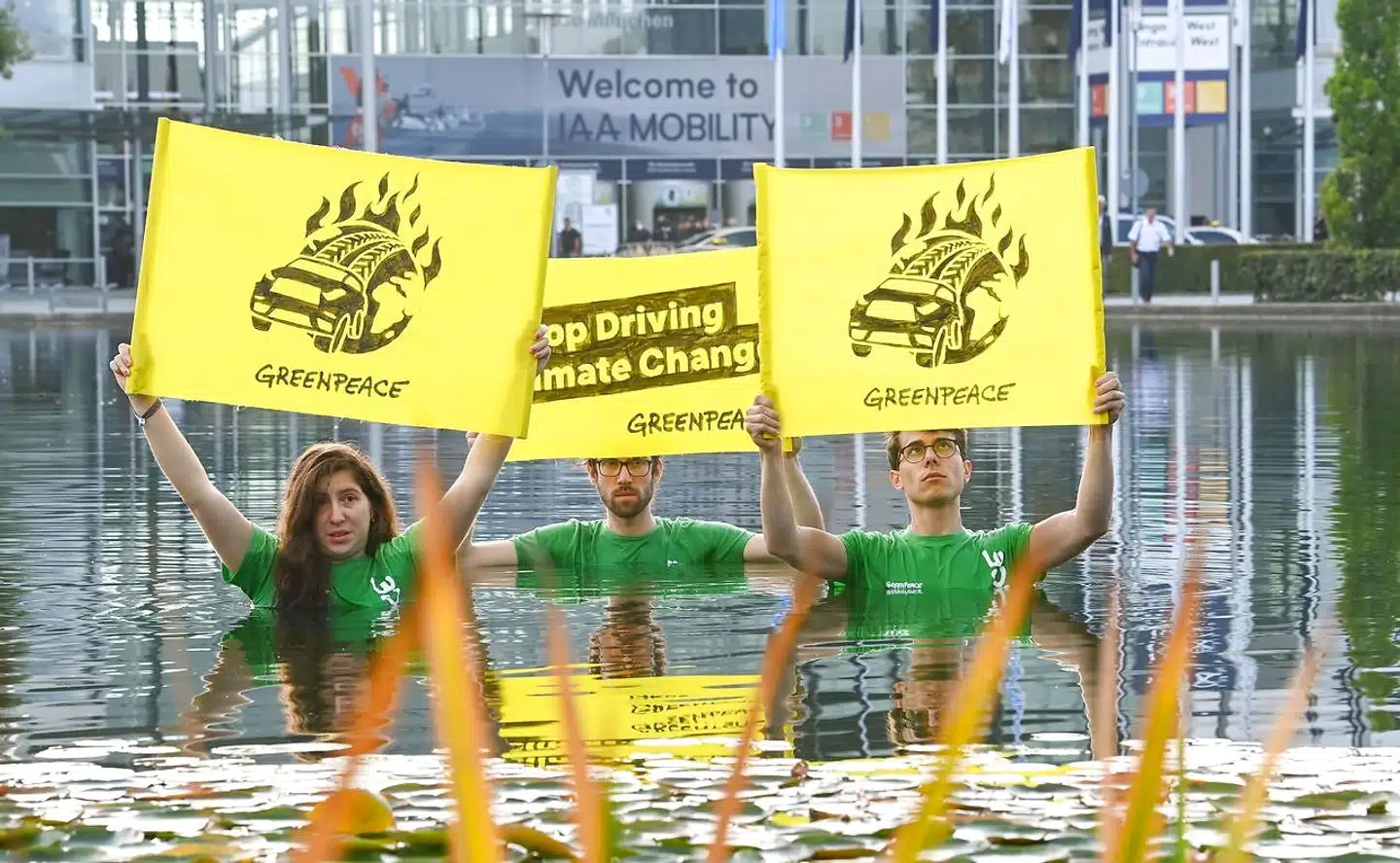 I dag kan den internationale miljøorganisation Greenpeace fejre sit 50 års jubilæum. Her en klimaaktion foran en biludstilling i München i september i år.