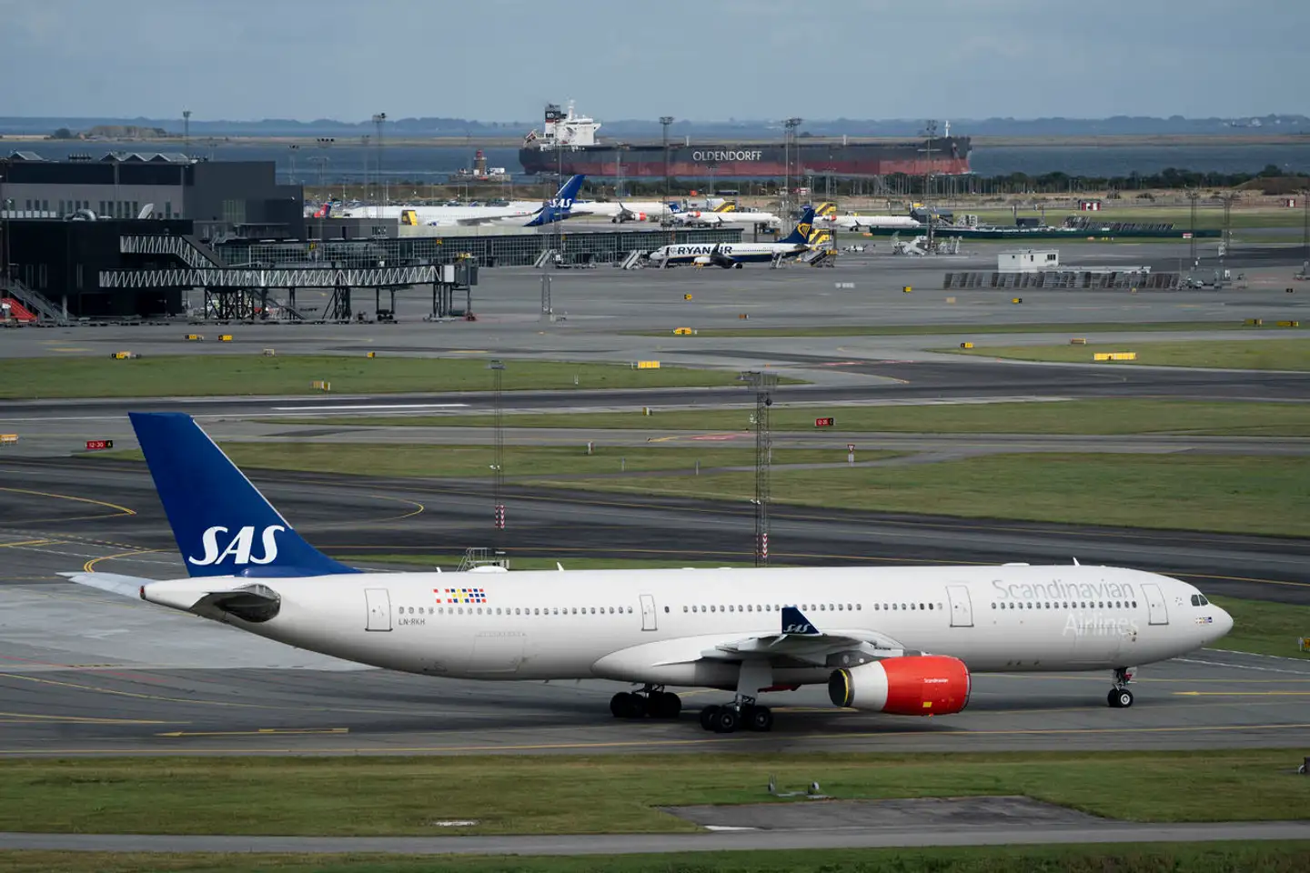 Ombord på SAS-flyet gjorde den blinde passager sig bemærket.