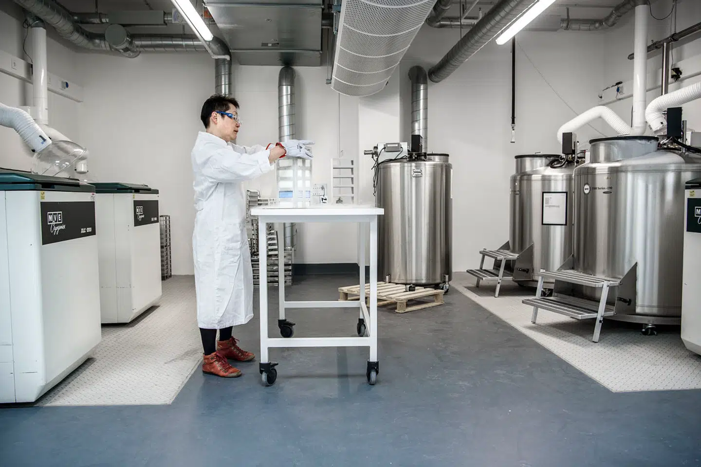 Mikako Sasa, Science Manager flytter Bakterier til den nye bank i Novozymes Inovation Campus i Lyngby