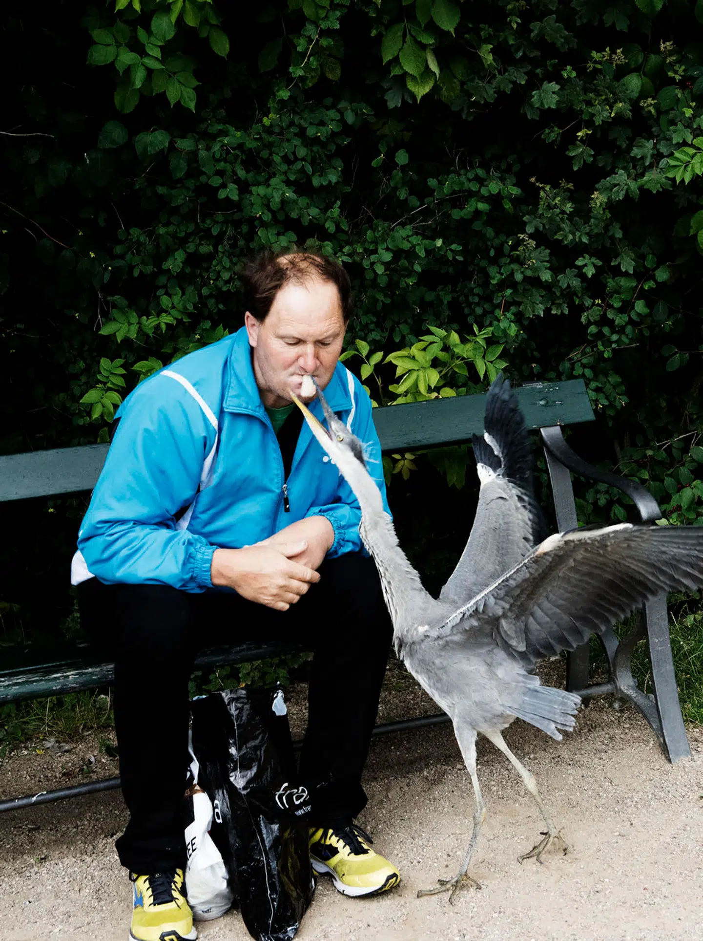 Hejremanden i Frederiksberg Have i 2014, da det fortsat var tilladt at fodre i haven.