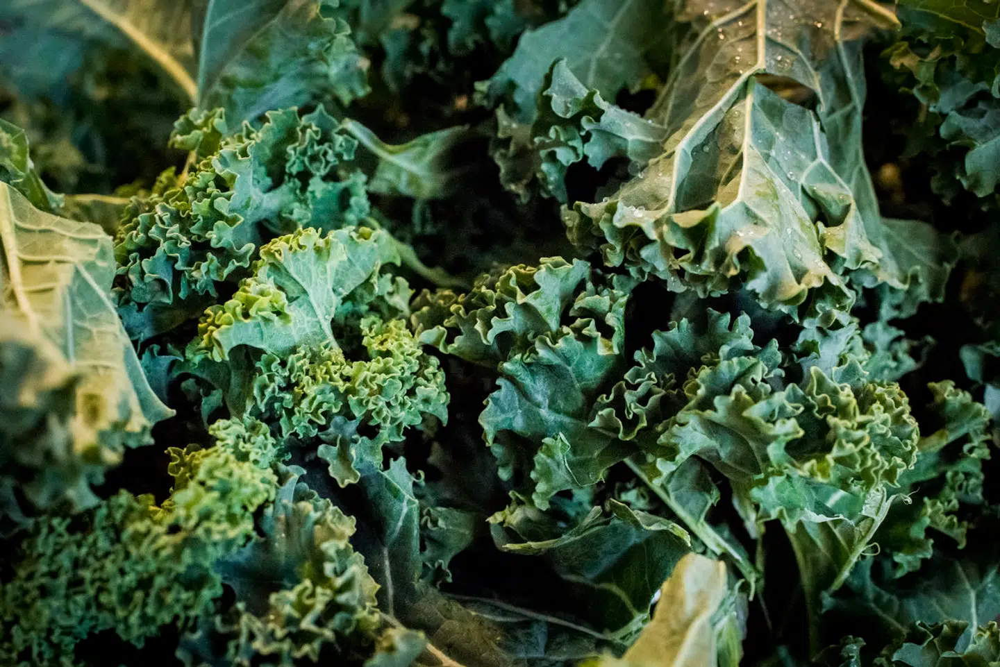 Hjemme hos Søren Frank er rødkålen til juleanden skiftet ud med grønkål.