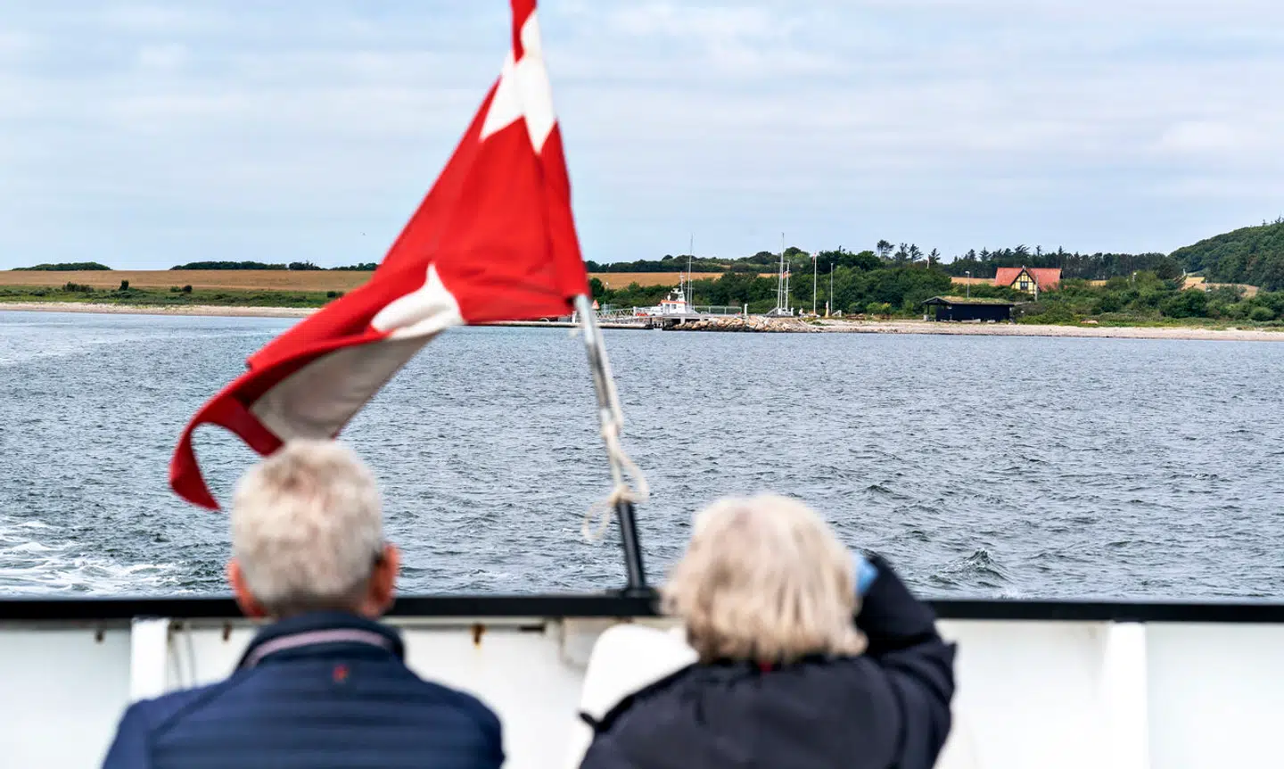 Tænk, hvis vi i Danmark en dag får et parti, som virkelig vil varetage pensionisternes interesser på alle områder, skriver Annalise Ziirsen.