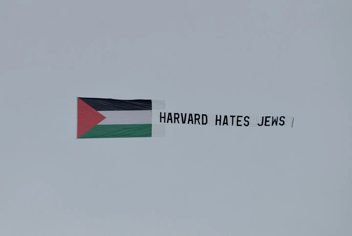 Et banner med teksten »Harvard hates Jews« (Harvard hader jøder) svæver over det amerikanske eliteuniversitet. Jødehadet er blusset op på universiteter over hele verden, og flere steder har jøder været udsat for chikane og trusler.