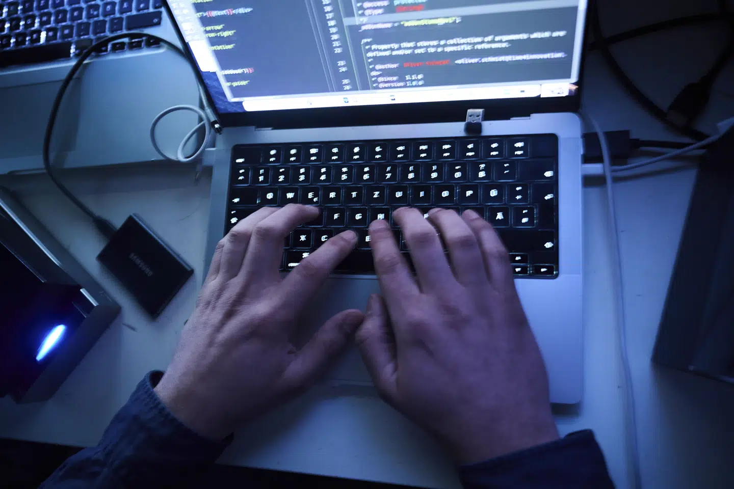 National Enhed for Særlig Kriminalitet og Københavns Politi har bidraget til efterforskning af og dermed nedbrydning af dele af det kriminelle cybernetværk ALPHV/BLackcats infrastruktur. (Arkivfoto).