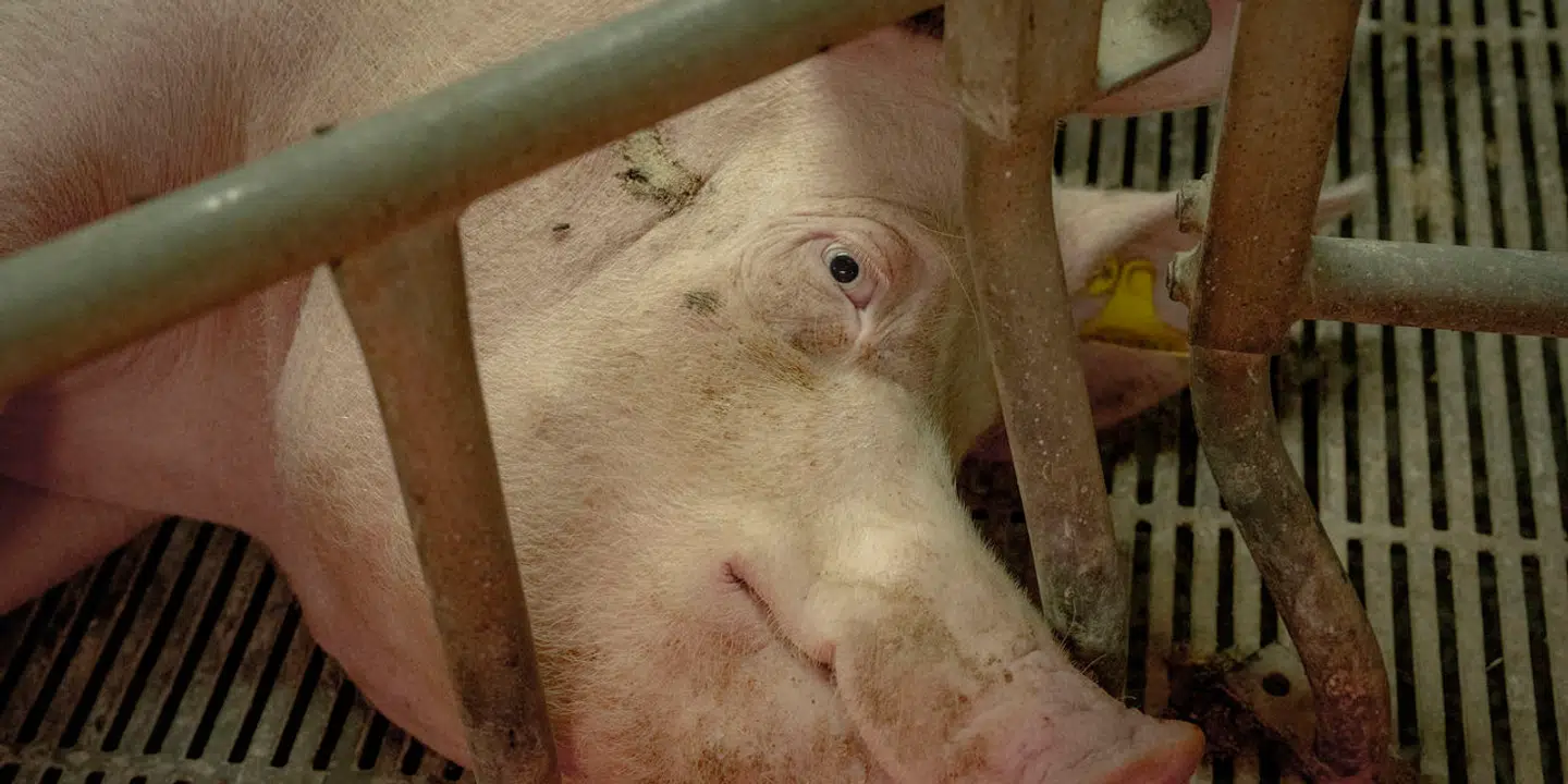 Vi anerkender, at det er et komplekst område, og at det derfor tager tid at lave et godt politisk udspil, men det er en udfordring for sektoren, at lovpakken har været så længe undervejs. Det skriver Christian Fink.