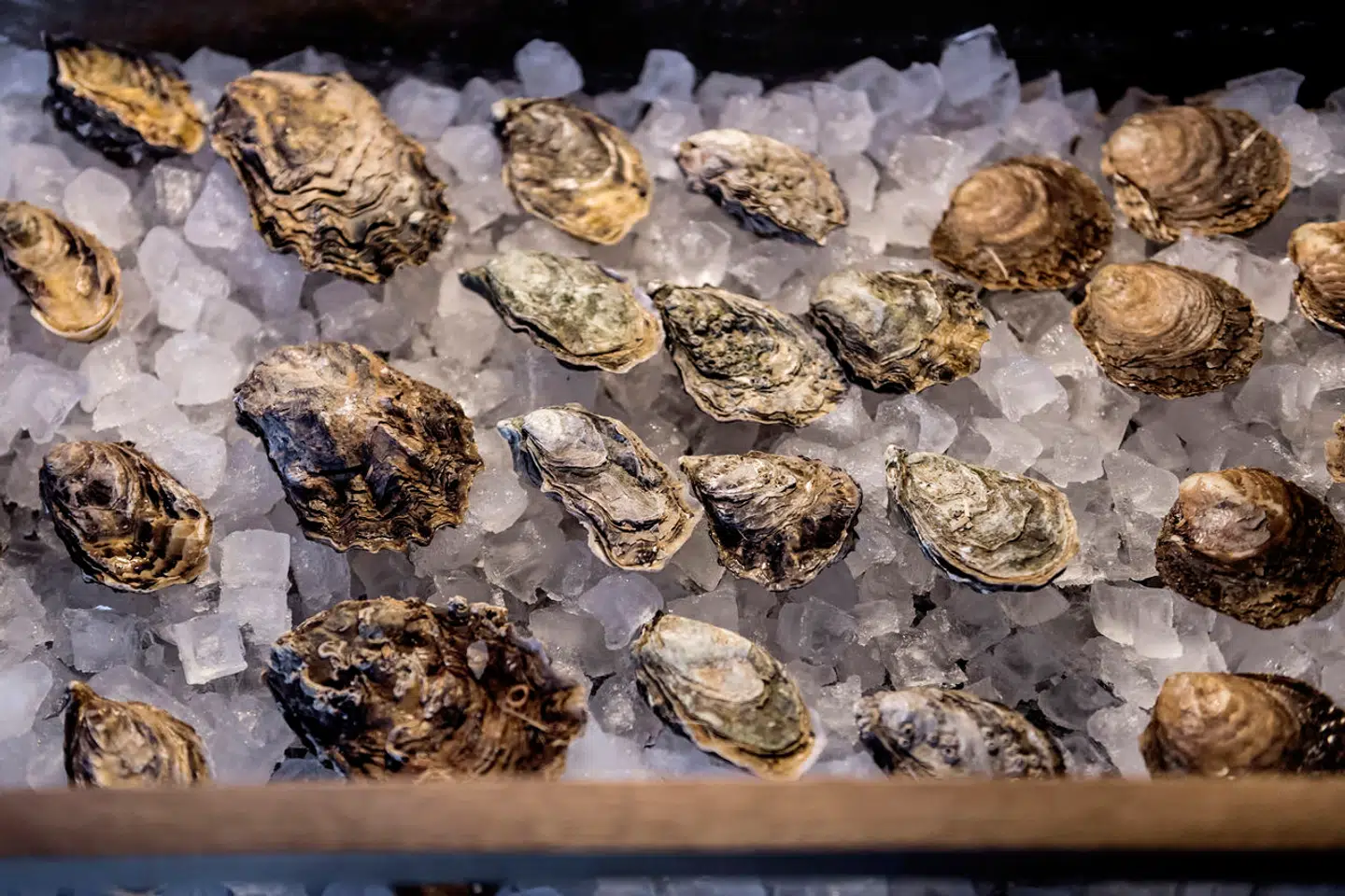 Længere nede i teksten finder du et link til Berlingskes store nytårsguide til østers. Læs videre!