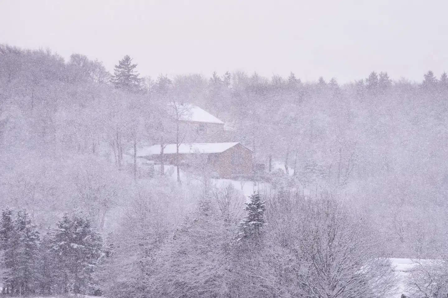 I begyndelsen af december faldt der sne flere steder i landet. Særligt Jylland blev dækket af sne. (Arkivfoto).