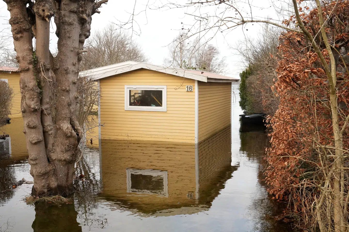 Stormen Pia blæste torsdag ind over Danmark med forventede vindstød af orkanstyrke. (Arkivfoto).