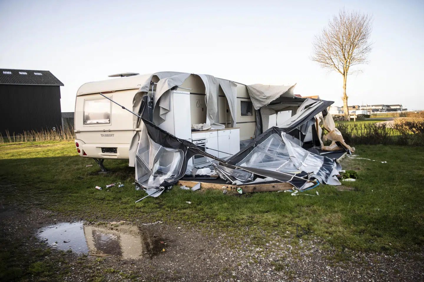 Skadeanmeldelserne efter stormen Pia omhandler blandt andet væltede træer og trampoliner, som er fløjet væk på grund af den kraftige vind. (Arkivfoto).