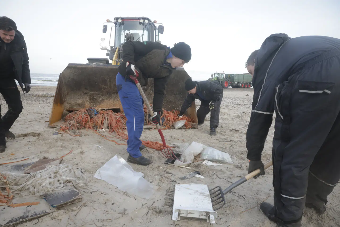 Frivillige hjælper med oprydningen ved at indsamle strandingsgodset, som efterfølgende fjernes af gummigeder og ladvogne.