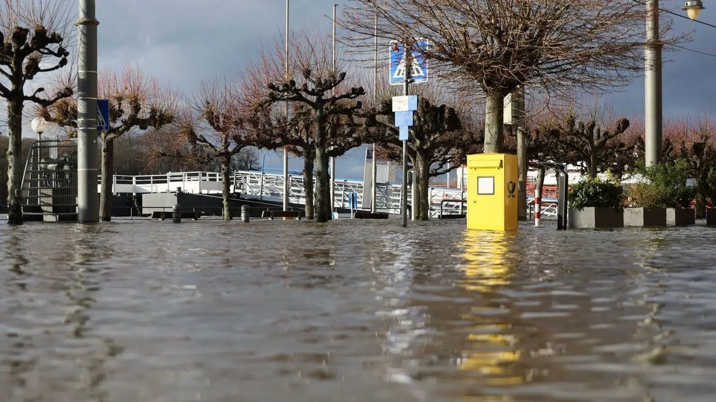 Rhinen er flere steder gået over sine bredder efter voldsomme regnskyl. Her er det i Königswinter nær Bonn.