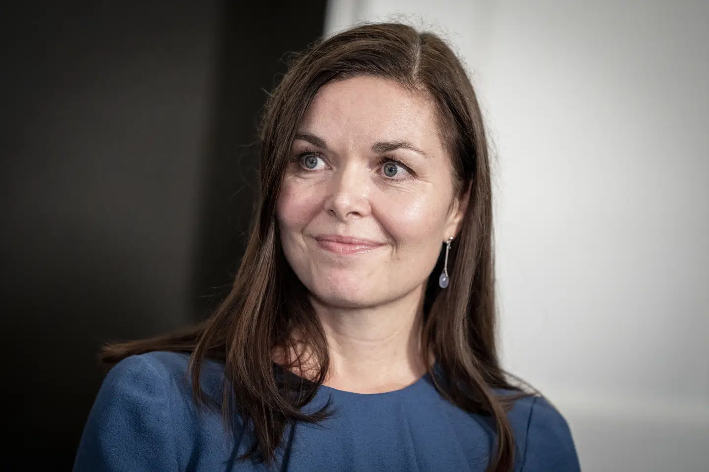 Louise Schack Elholm blev erhvervsordfører i stedet for finansordfører, som hun ønskede. (Arkivfoto).