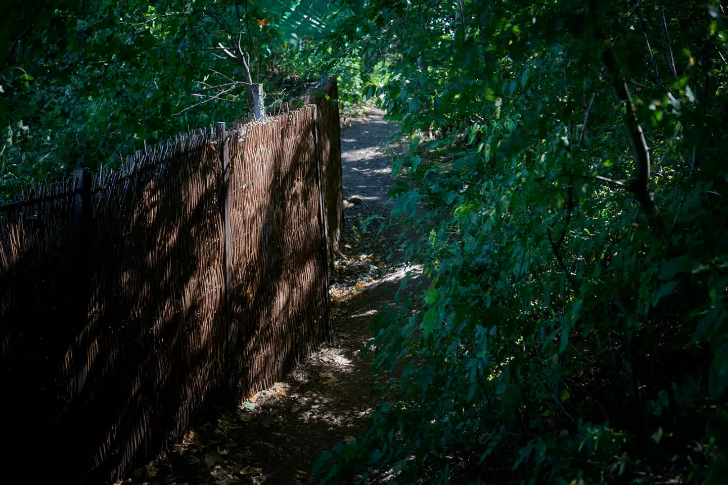 Christianshavns Vold er et populært område for gå- og løbeture.