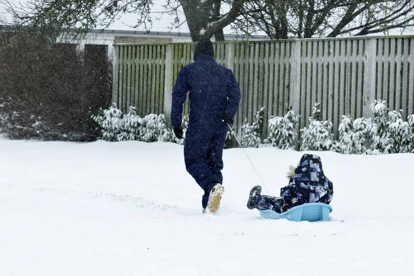 Elprisen tager et gevaldigt nøk opad fredag. Det skyldes ikke mindst, at vinden løjer af, mens kulden har bidt sig godt fast. (Arkivfoto).