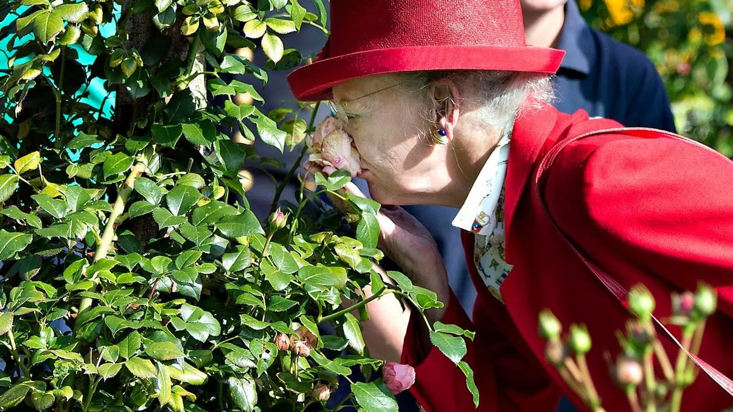 Dronning Margrethe på besøg i Den Jyske Rosenpark i Ålestrup under et sommertogt.
