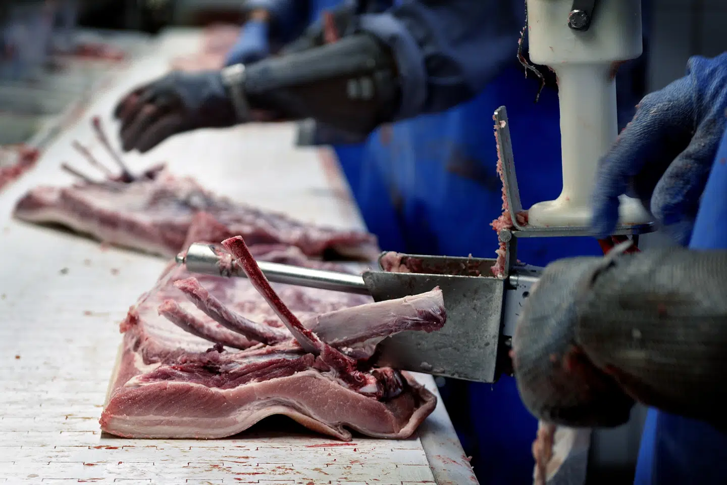 Slagtning af 30.000-40.000 grise er blevet udsat som følge af de seneste dages snevejr, der flere steder har skabt kaos på vejene. (Arkivfoto).