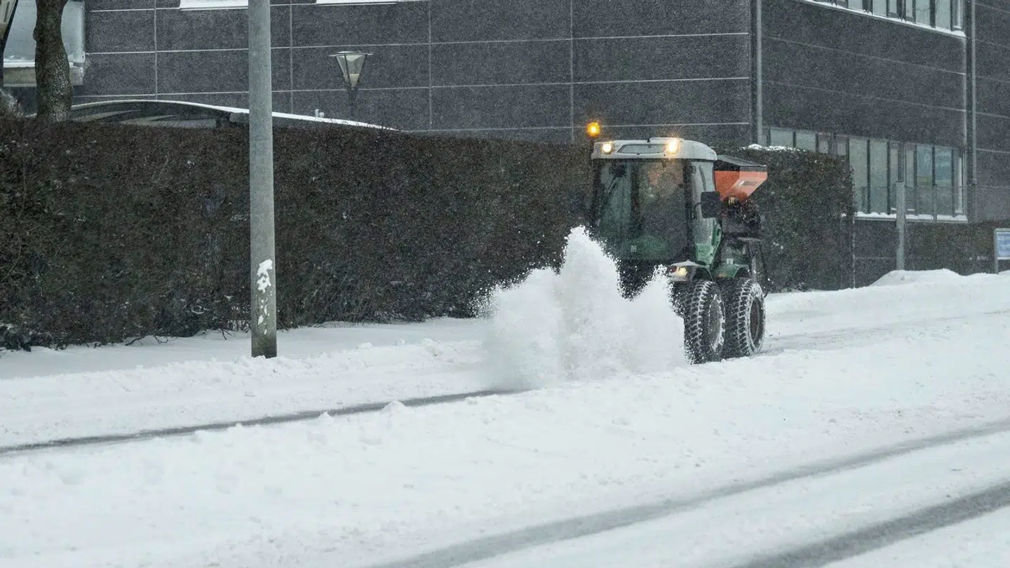 Det kolde vejr fortsætter ind i næste uge, lyder meldingen fra DMI. Foto: Henning Bagger/Ritzau Scanpix