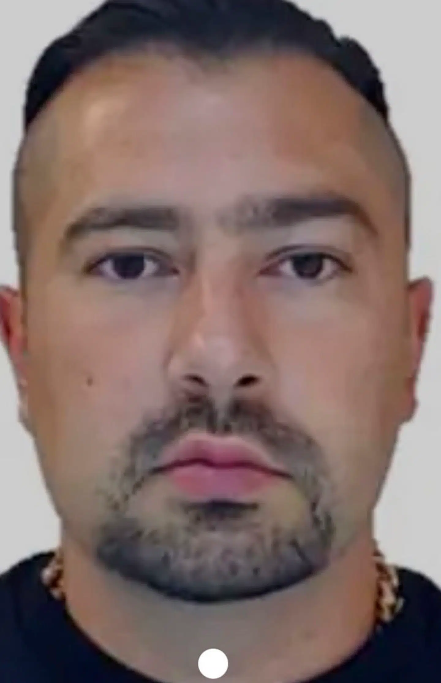 »Den kurdiske ræv«, Rawa Majid.