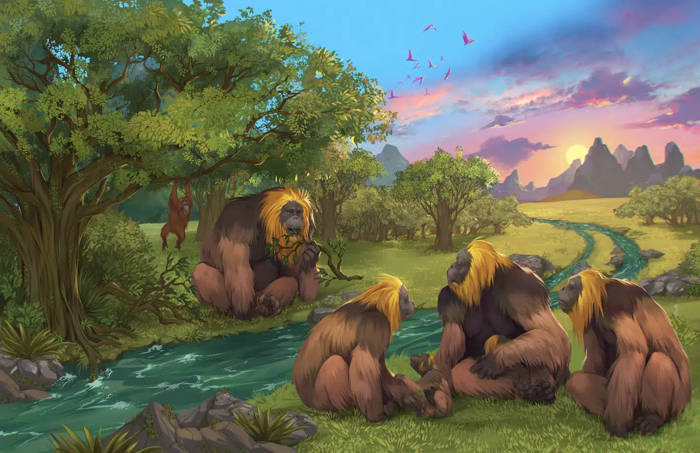Gigantopi thecus blacki. Illustration: Garcia/Joannes-Boyau