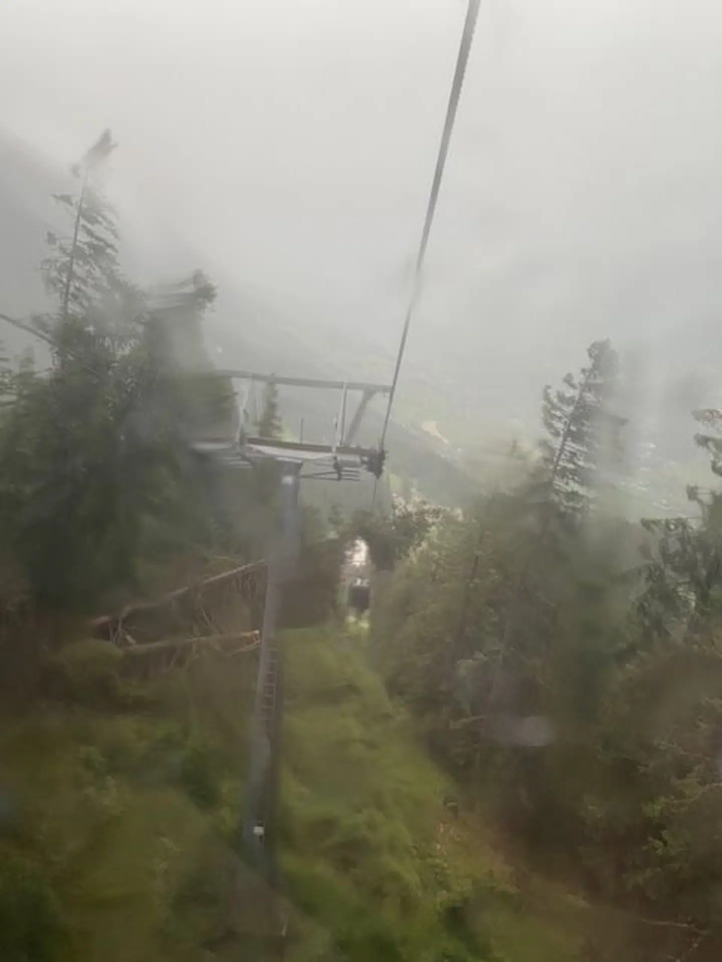 Dette billede tog Mette Astrup Tolver ud af gondolen, da det værste var overstået. Her kan man se flere væltede træer.