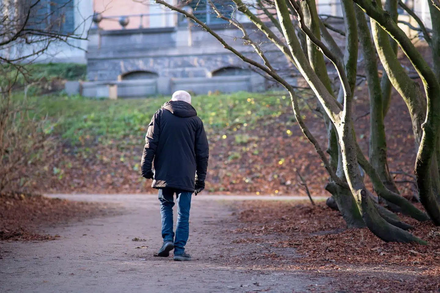 En receptor i hjernen kaldet CD163 kan gives et »delvist« svar på, hvorfor flere mænd end kvinder får Parkinsons sygdom.