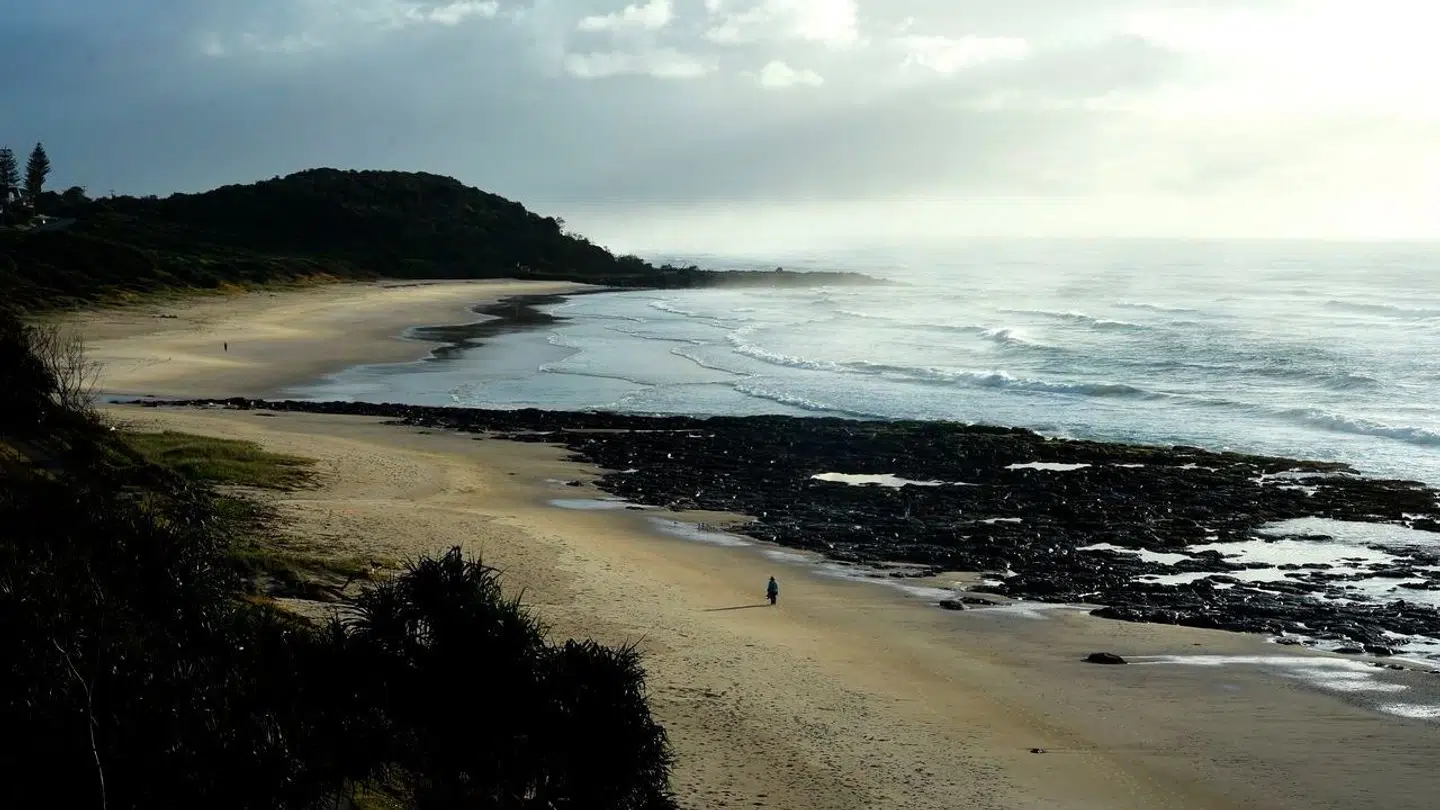 Shelly Beach er en af de populære strande i Sydney, men torsdag fik gæsterne sig en ubehagelig oplevelse.