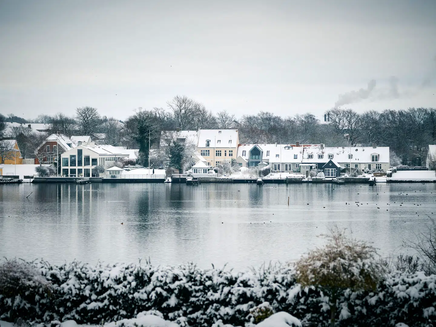 I 2004 sørgede Bernd Griese for, at Harboes Bryggeri solgte et stort hus i Skælskør (det hvide til venstre på billedet) til hans egen datter Vibeke Harboe Malling og hendes mand, Søren Malling. Sidstnævnte blev i 2019 udnævnt til øverste direktør på bryggeriet.